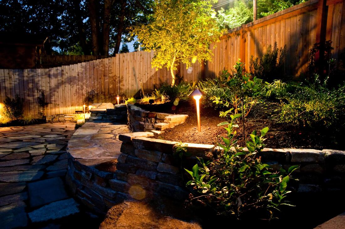 Outdoor Backyard LED Landscape Lights